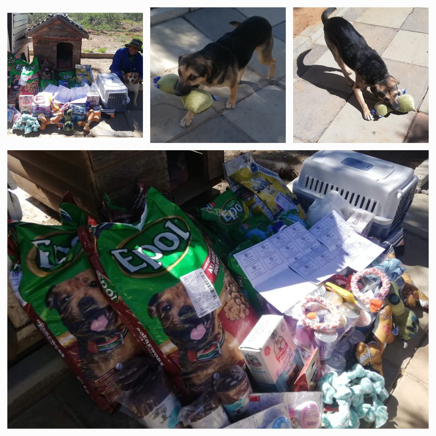 Cradock Animal Shelter